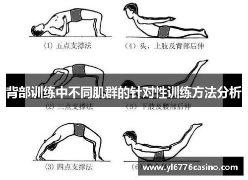 背部训练中不同肌群的针对性训练方法分析